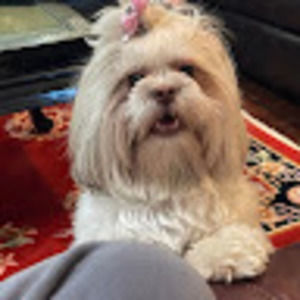 Meet your Posher, Hazel